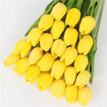 Mini tulp