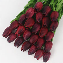 Mini tulp