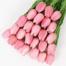 Mini tulp