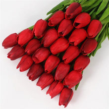 Mini tulp