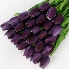 Mini tulp
