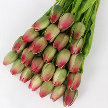 Mini tulp