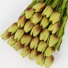 Mini tulp