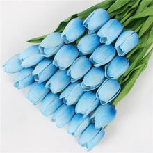 Mini tulp