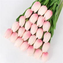Mini tulp