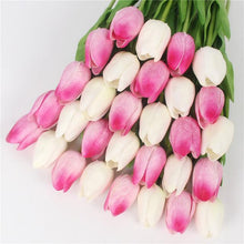 Mini tulp