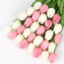 Mini tulp