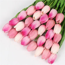 Mini tulp