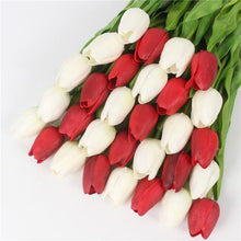 Mini tulp