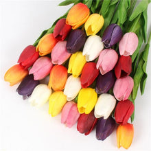 Mini tulp