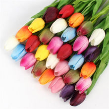 Mini tulp